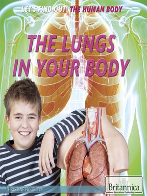 cover image of The Lungs in Your Body